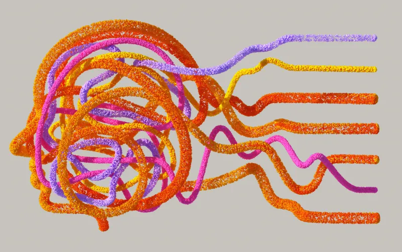 Wired to Wager: The Science Behind Why Bold Bets Feel So Good